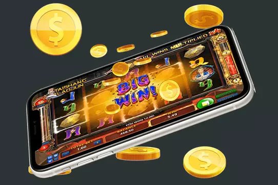 qq55